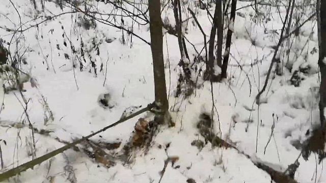 Неудачная поездка на рыбалку. смотреть онлайн