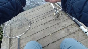 Пруд пеньки 11.05.2022 г.MP4