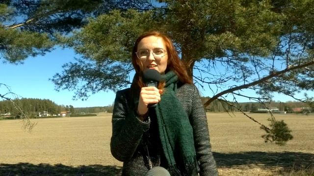 ФИНСКИЙ ЯЗЫК: ОПАСНЫЕ СЛОВА за 3 минуты смотреть онлайн