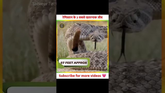 रेगिस्तान के 3 सबसे खतरनाक जीव || 3 most dangerous creatures of the desert Part-1