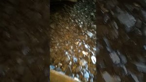 Запуск автоматического котла Горыныч мощностью 35квт