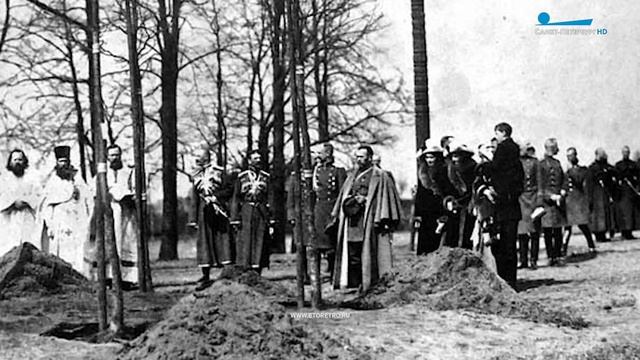 Дубы-наследники Царского Села смотреть онлайн