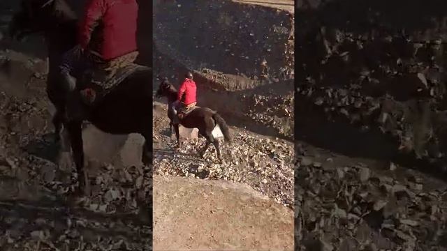 буз дар дехайи кашкара смотреть онлайн