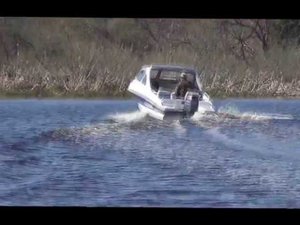 нептун 3 П и YAMAHA F60 CETL