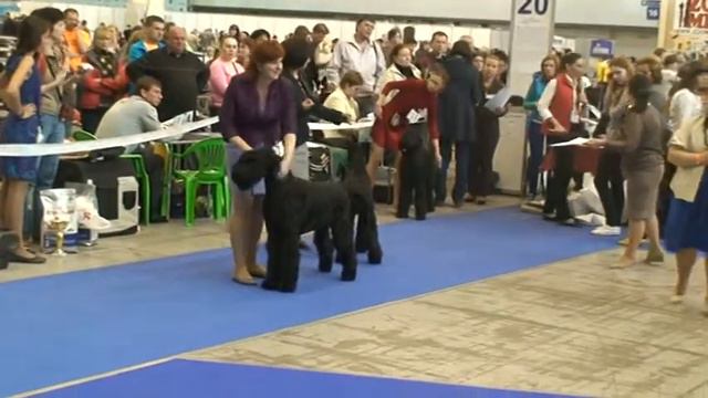 M2U01107 Чемпионат сравнение на БОБ 1 смотреть онлайн