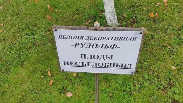 КОСТРОМА или день 6-ой круиза на теплоходе "Санкт-Петербург" смотреть онлайн