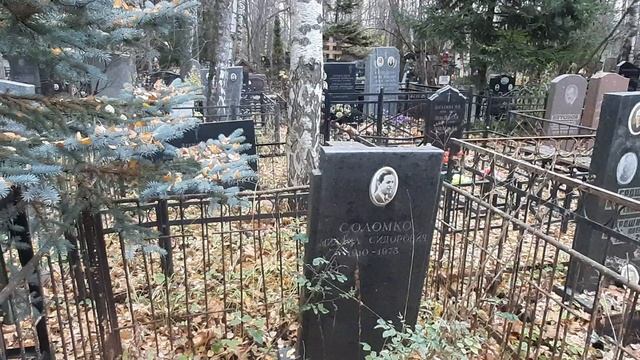 Востряковское кладбище могилы советского времени