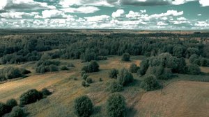 Эпизоды. Красивые кадры. Нетребово, Тереховка, Костино. Некрасовский район, Ярославской области
