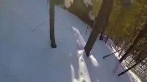 Охота на изюбря