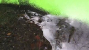 Лоток старателя Дипсис-15". Производственный архив испытаний 24/ DEEPSEES .