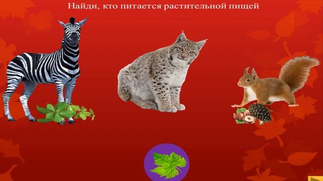 Интерактивная игра "Травоядные и плотоядные животные"