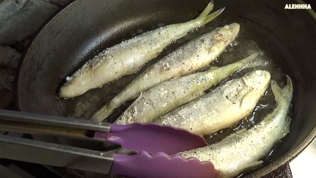 КОРЮШКА смотреть онлайн