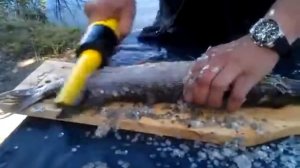 Электрическая рыбочистка ЭРЧ-1 - ООО "Кловис Индастриал"