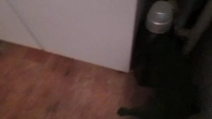 Как избавиться от тараканов навсегда и сороконожек,простой природный способ.