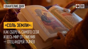 "Соль Земли": Как сберечь самого себя и весь мир от гниения — отец Андрей Ткачёв