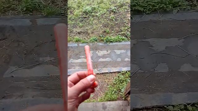 Бройлеры последний ШАНС НА ЖИЗНЬ