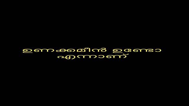 ഇഷ്ട്ടപെടുന്നവരെ കൂടെ കൂട്ടുക ♥️always be your version ✨ #music #flute #malayalam #motivation #love