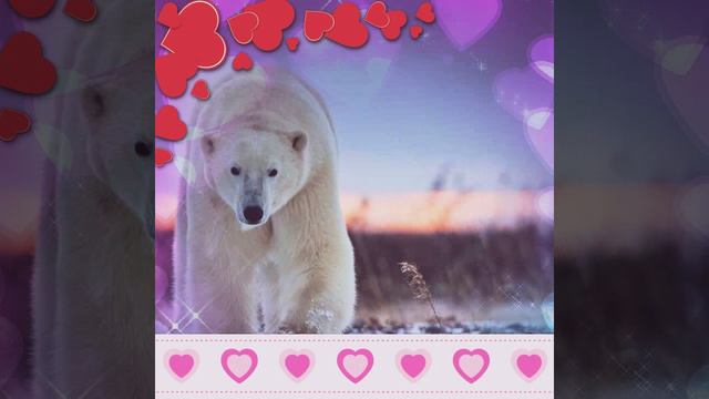 Разные животные!:-) смотреть онлайн