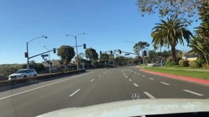 Алекс Брежнев: шоу с московской пропиской