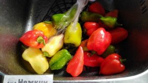 Консервированный болгарский перец с уксусом на зиму