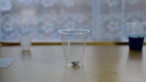 Выращивание кристаллов в домашних условиях