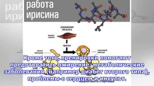 Как превратить белый жир в бурый и почему это важно для тех, кто хочет похудеть