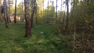 Пионерлагерь Дружба вблизи Михнево
