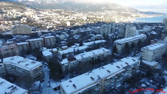 Суворик под снегом, Ялта смотреть онлайн