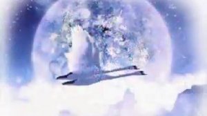 Юбилей свадьбы - 10 лет.wmv