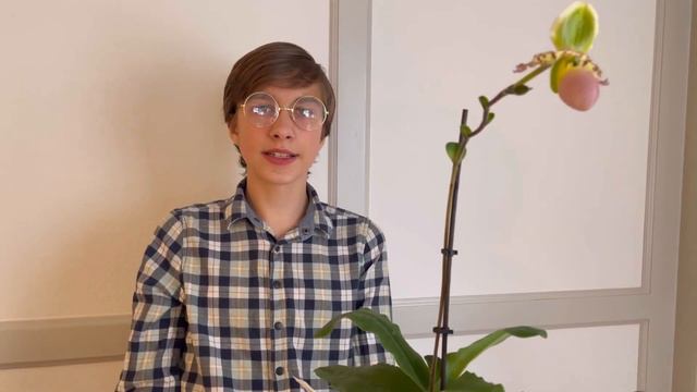 МОЙ ПЕРВЫЙ PAPHIOPEDILUM🪴 смотреть онлайн