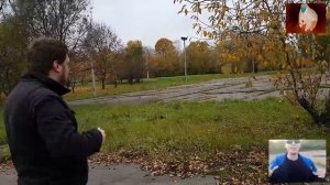 Озон в лесу местного болота