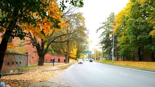 Литовский вал: что там сейчас. Прогулка по Калининграду #11 смотреть онлайн