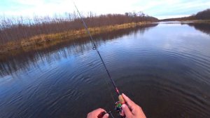 Кунджа на воблер | Рыбалка Сахалин осень