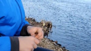 Заинское водохранилище.(открытие летнего сезона)