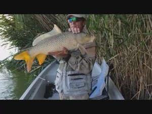 Ловля сазана на базе Завидово, Балхаш.