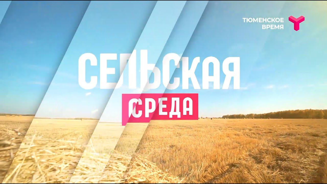 Сельская среда