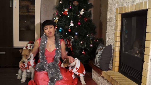 НОВОГОДНЕЕ ПОЗДРАВЛЕНИЕ МОИМ ПОДПИСЧИКАМ//С НОВЫМ ГОДОМ! смотреть онлайн