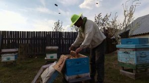 Подготовка семьи воспитательницы на 145 рамку.mp4