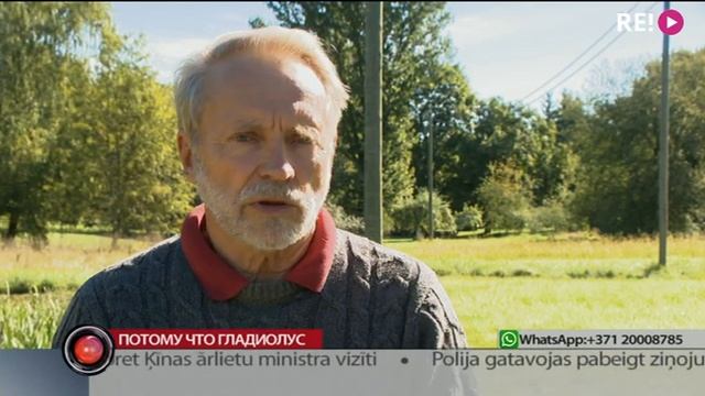 Потому что гладиолус