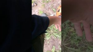 Рекомендую триммер STILL FS 130. Как завести и как работать.