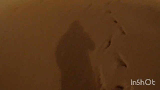 Дальнобой по Европе // нарушаю РТО // смотреть онлайн