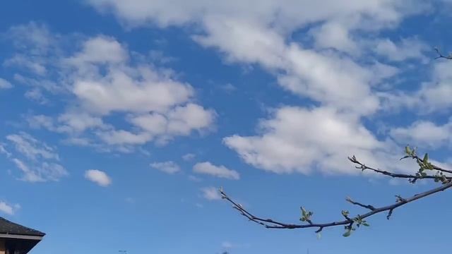 Быт налаживается Стена растет вверх