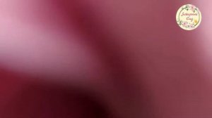 Моя зефирная флористика?от первых зефирин... до волшебных букетов