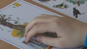 Расскажу Вам о работе учителя в коррекционной школе