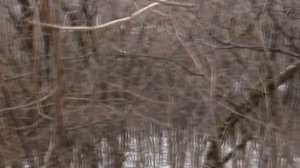 ПОДОЛЬСКИЕ ТОВТРЫ: РЕКА ЗБРУЧ. САТАНОВ - МЕДОБОРЫ - КАМЕНЕЦ-ПОДОЛЬСКИЙ (28.11-16.12.2007)