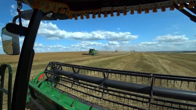 Вышли первый день в поле на уборку урожая 2021.  Молотим горох и попробовали оз. пшеницу.