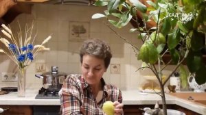 Свекла с хреном и лимоном простой вкусный рецепт