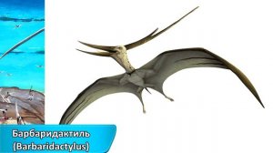 10 редких птерозавров о существовании которых, вы скорее всего не знали!