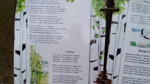 Рубцов Николай Иванович, "Я буду долго гнать велосипед"...