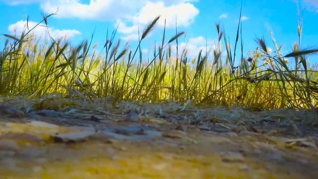 Verdon Gorge and Lavender // France 2017 // Days 3-5 смотреть онлайн